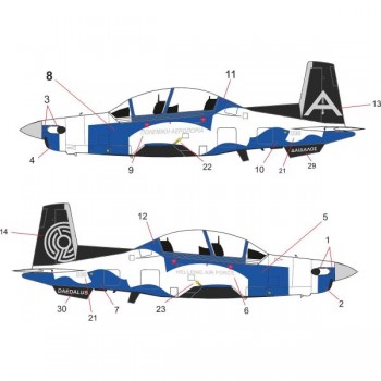 T-6 TEXAN 2 DAEDALUS SOLO TEAM